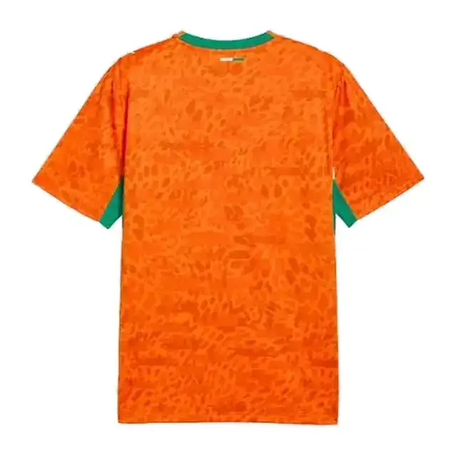 Camiseta Costa de Marfil local Mundial 2026 (espalda)