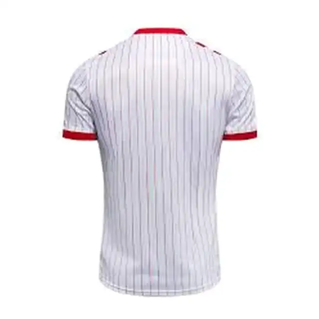 Camiseta Dinamarca visitante 2026 (espalda)