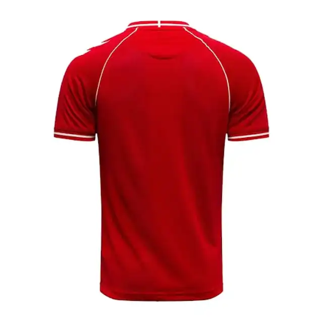Camiseta Dinamarca local 2026 (espalda)