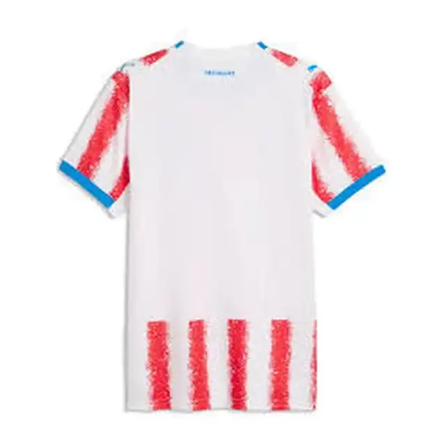 Camiseta Paraguay local Mundial 2026 (espalda)