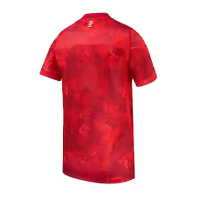 Camiseta Polonia visitante 2026 (espalda)